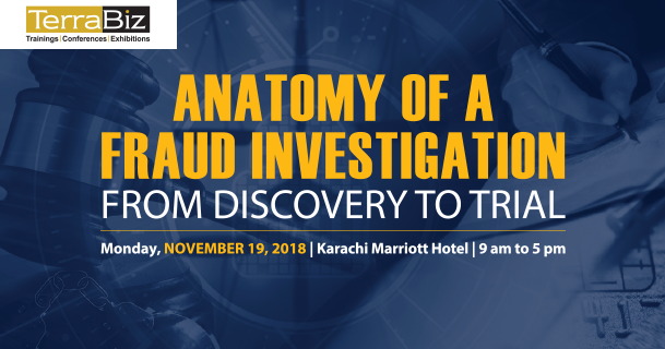 Anatomy Of A Fraud Investigation | Terrabiz Group